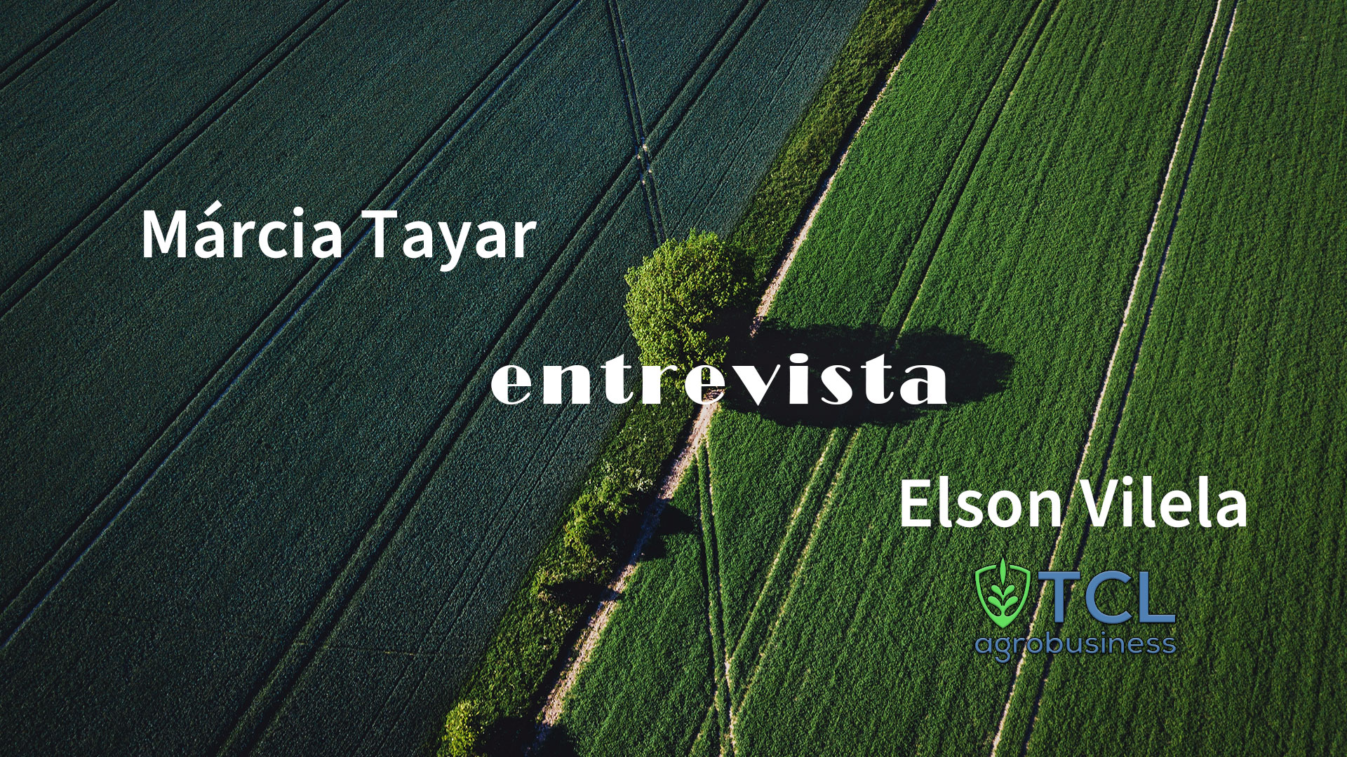 Leia mais sobre o artigo A Importância do Agronegócio | Entrevista